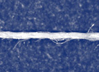 Polyester/Bamboo-Rayon