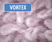 VORTEX