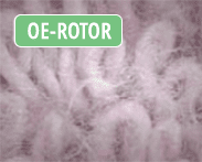 OE-ROTOR